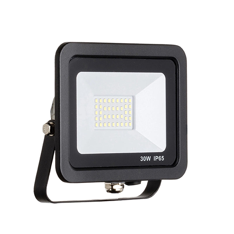 30 Watt LED AC Driverless Floodlight